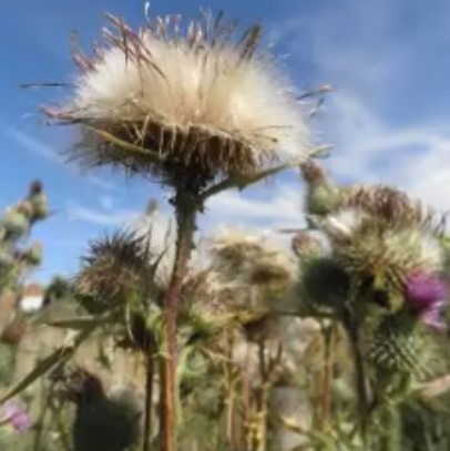 其他/附件/个人网站/打卡/英语学习/Coach Shane - Daily Dictation/听力 26【2026-01-04】_DD42/jpeg-2026_01_04 1.jpeg273x274