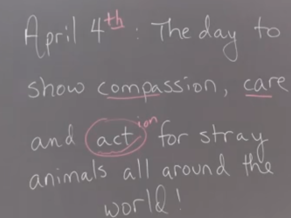 2026_03_25_10_41_50.jpeg367x276